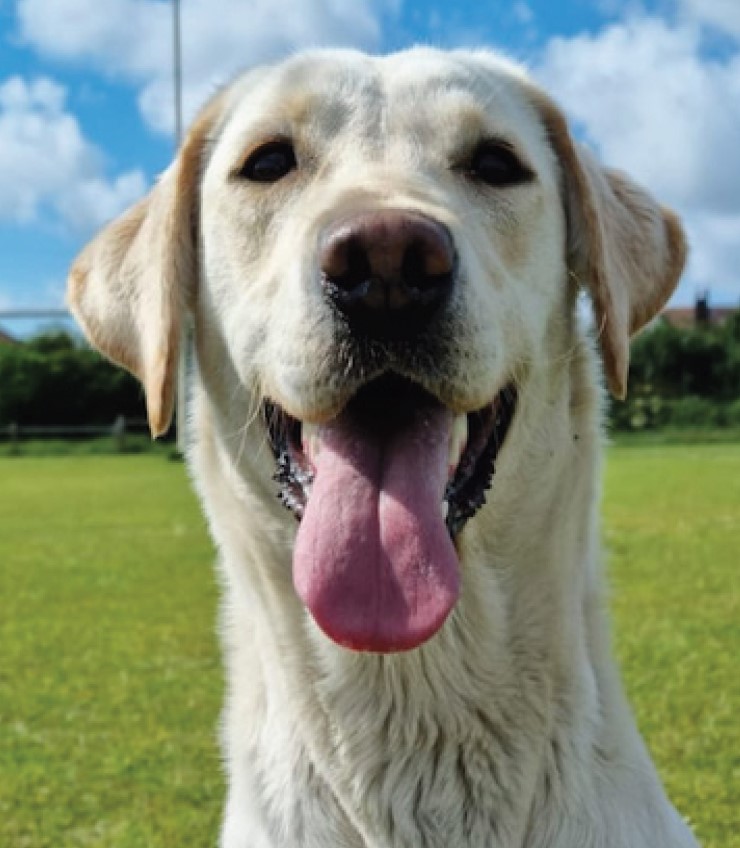 Photograph of PD April