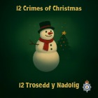 North Wales Police Launch “12 Crimes of Christmas” Campaign to Keep Communities Safe This Festive Season