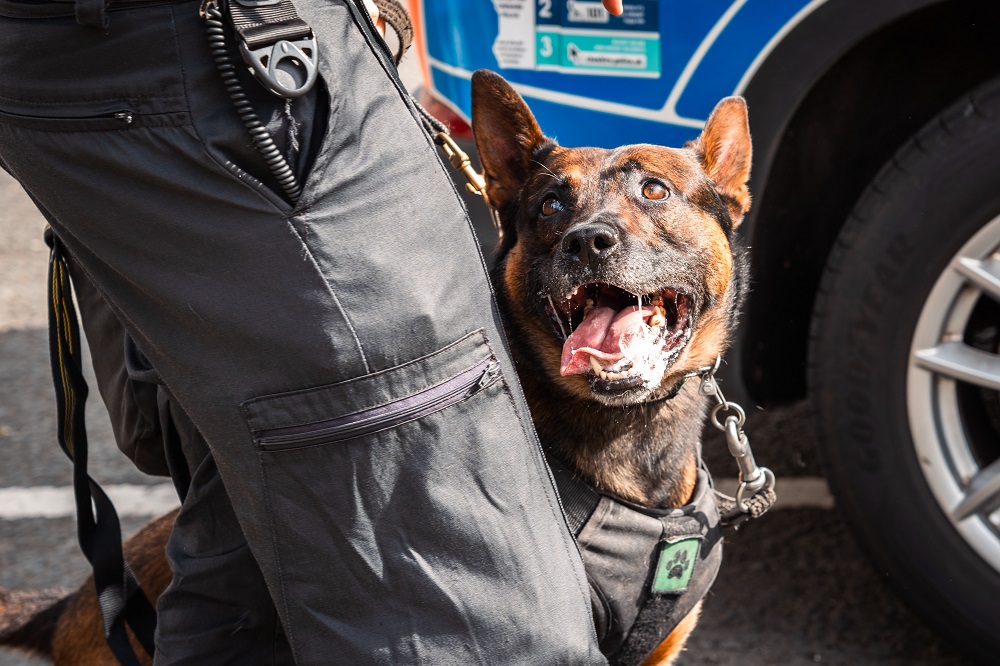 Photograph of PD Arlo