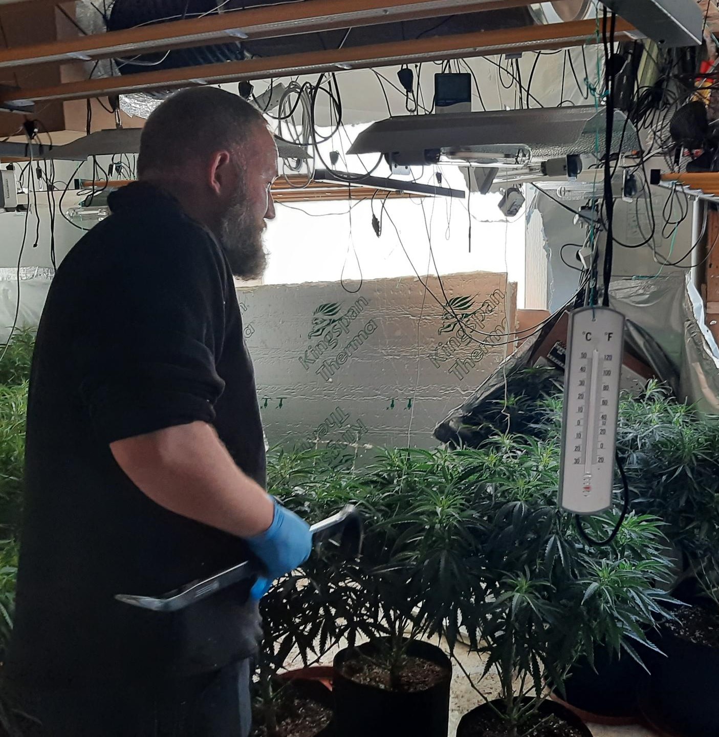 Hidden harms of cannabis factories in our communities