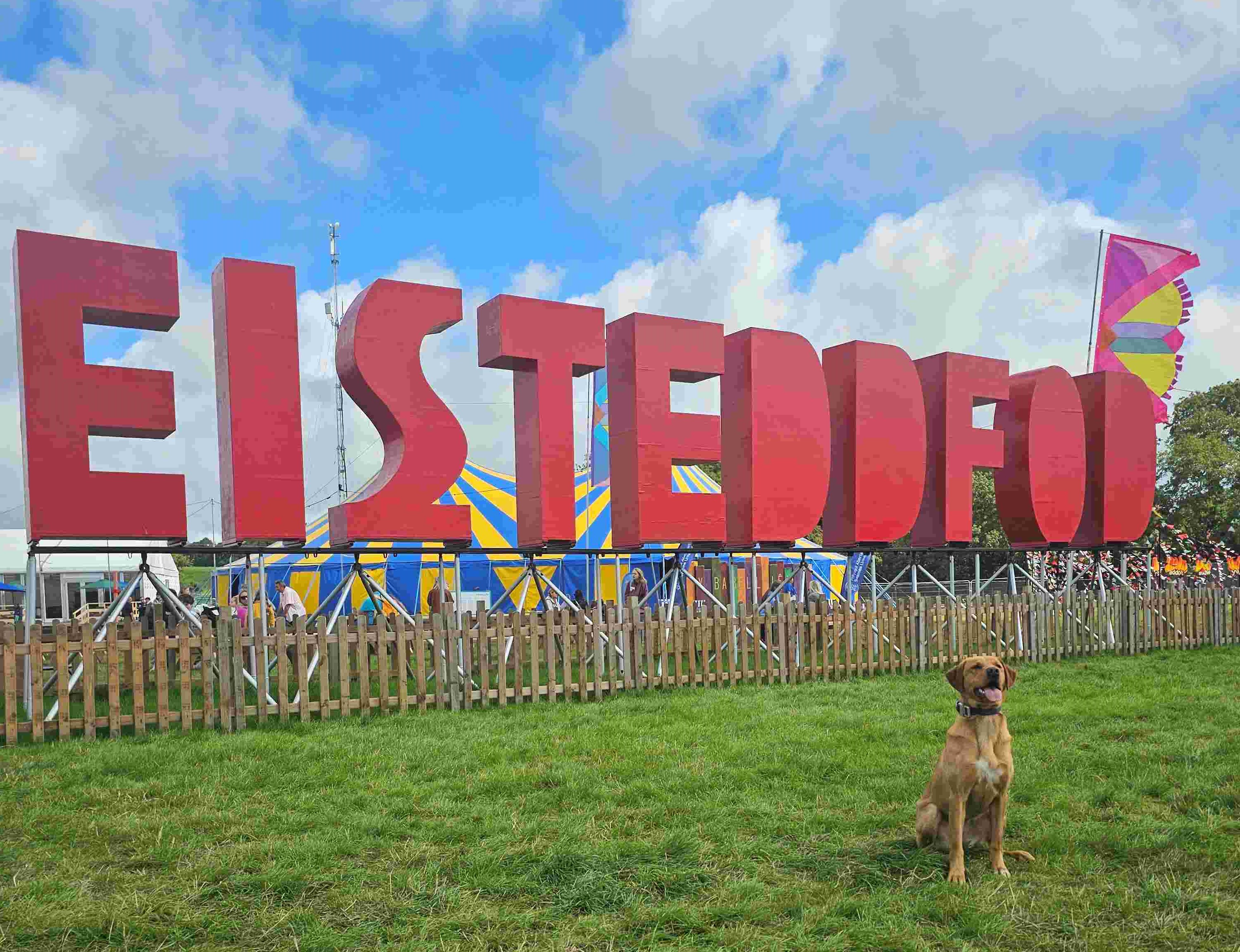 Dewch i’n gweld yn yr Eisteddfod Genedlaethol yn Wrecsam